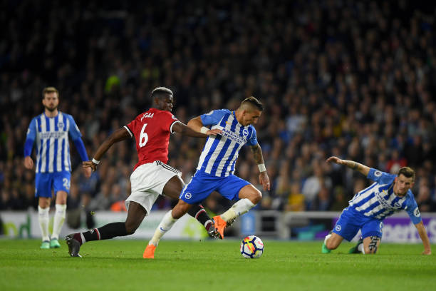 纳的报道引 纳的报道引