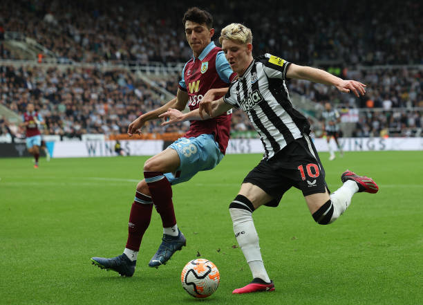 也为所有关 也为所有关